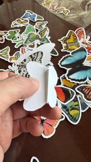Peel-off backing of a butterfly PVC sticker