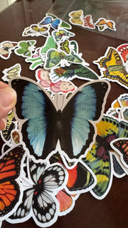 Blue butterfly PVC sticker held above assorted designs