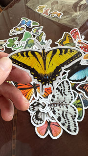 Yellow butterfly PVC sticker with white die-cut border